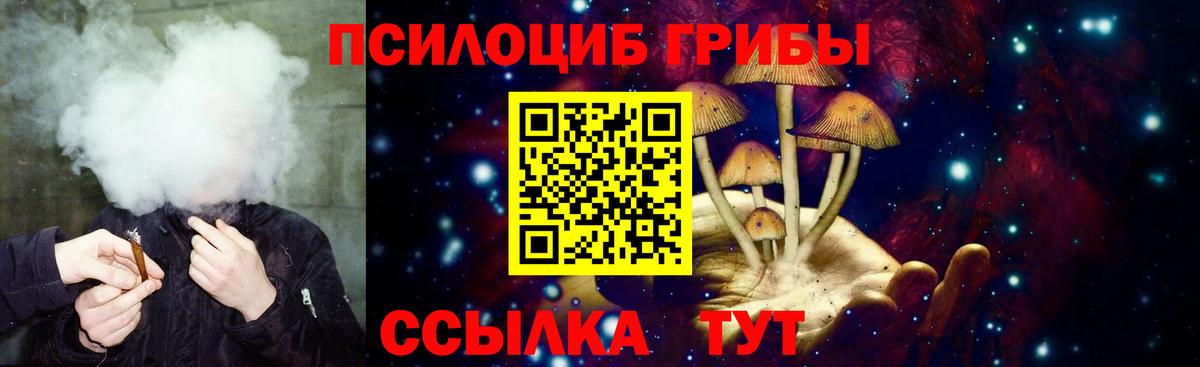 Галлюциногенные грибы MAGIC MUSHROOMS Черкесск