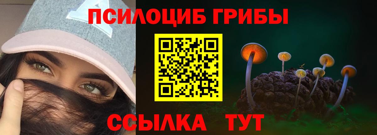 Галлюциногенные грибы Cubensis  Галлюциногенные грибы ЛСД  Черкесск  Вход с VPN 