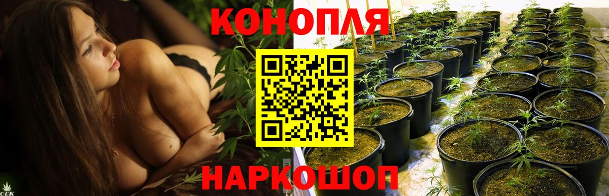 Шишки марихуана ГИДРОПОН  МАРИХУАНА OG Kush  Вход с VPN  Шишки марихуана VHQ  Черкесск 